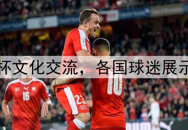 世界杯文化交流,各国球迷展示特色